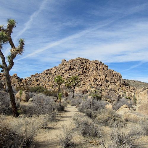 A desert landscape with rock formations, sparse vegetation, and Joshua trees under a partly cloudy sky.